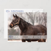Missy White Oak briefkaart (Voorkant / Achterkant)