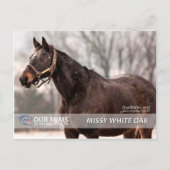 Missy White Oak briefkaart (Voorkant)