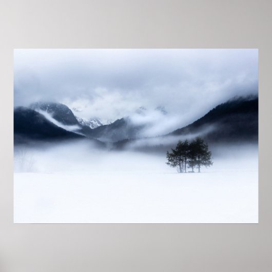 mist, bergen en eenzame boom in de winter poster (Voorkant)