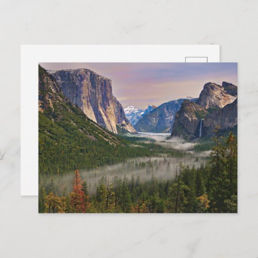 Mist Briefkaart (Voorkant / Achterkant)