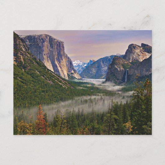 Mist Briefkaart (Voorkant)