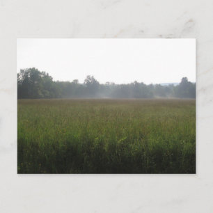 mist briefkaart