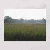 mist briefkaart (Voorkant)