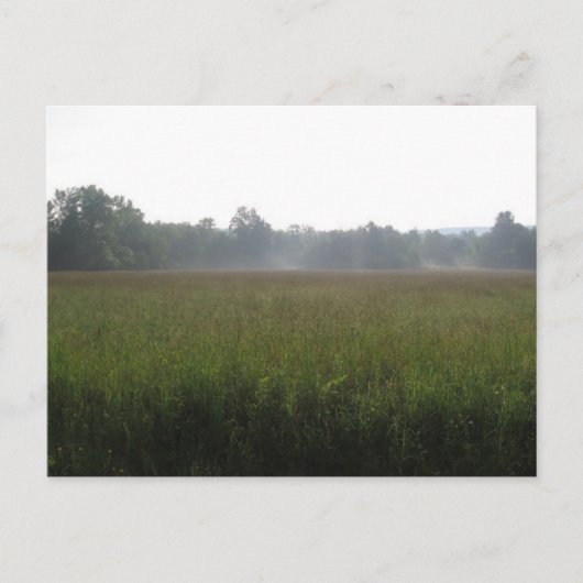mist briefkaart (Voorkant)