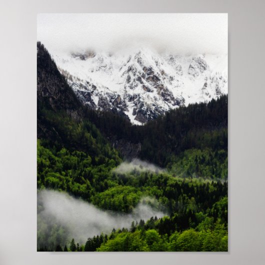 Mist die door het bos onder de bergen rolt poster (Voorkant)