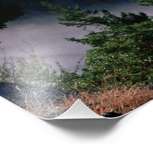 Mist drijft onder de brug over de Deceptpas op Foto Afdruk (Hoek)