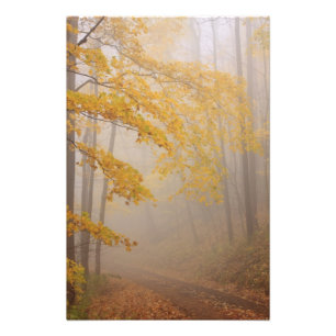 Mist en herfstloof, Great Smoky Mountains Foto Afdruk