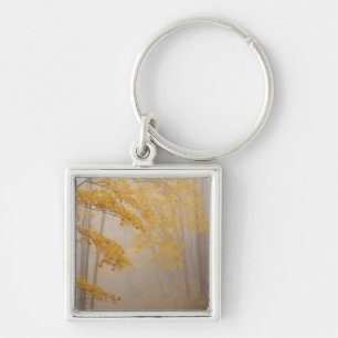 Mist en herfstloof, Great Smoky Mountains Sleutelhanger