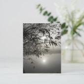 Mist- en schaduwkaart briefkaart (Staand voorkant)