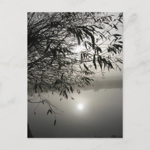 Mist- en schaduwkaart briefkaart