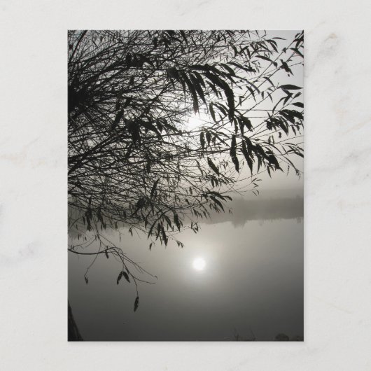 Mist- en schaduwkaart briefkaart (Voorkant)