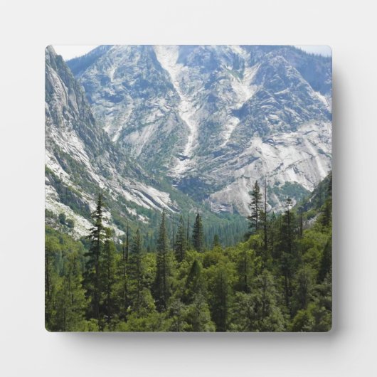 Mist Herfst Trail, King's Canyon National Park, CA Fotoplaat (Voorkant)