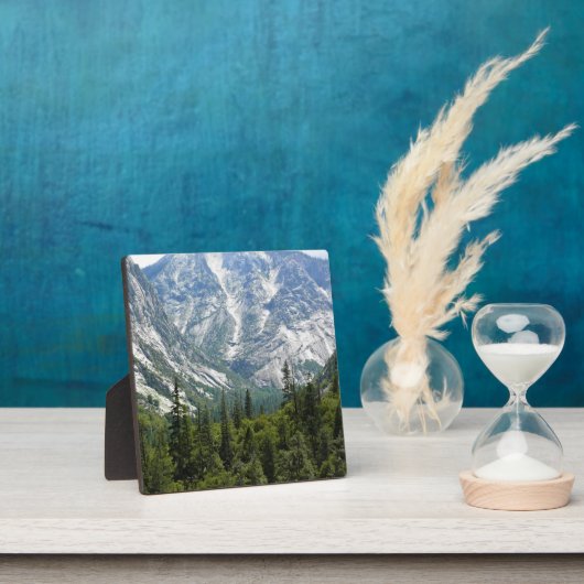 Mist Herfst Trail, King's Canyon National Park, CA Fotoplaat (Insitu)