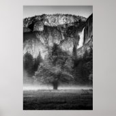Mist in de Meadow Poster (Voorkant)