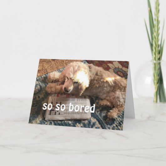 **MIST JE ZO VEEL** KAART (Voorkant)