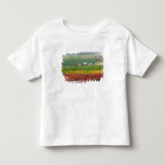 Mist kruipt over de Gehring Brothers Winery Kinder Shirts (Voorkant)