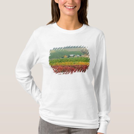 Mist kruipt over de Gehring Brothers Winery T-shirt (Voorkant)