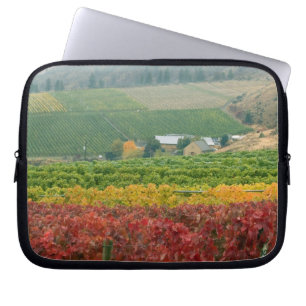 Mist kruipt over Gehring Brothers Winery die genes Laptop Sleeve