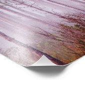 Mist onder dennenbomen bij zonsopgang, Everglades Foto Afdruk (Hoek)