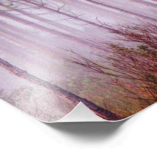 Mist onder dennenbomen bij zonsopgang, Everglades Foto Afdruk (Hoek)