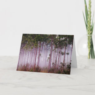 Mist onder dennenbomen bij zonsopgang, Everglades Kaart