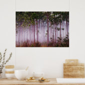 Mist onder dennenbomen bij zonsopgang, Everglades Poster (Keuken)