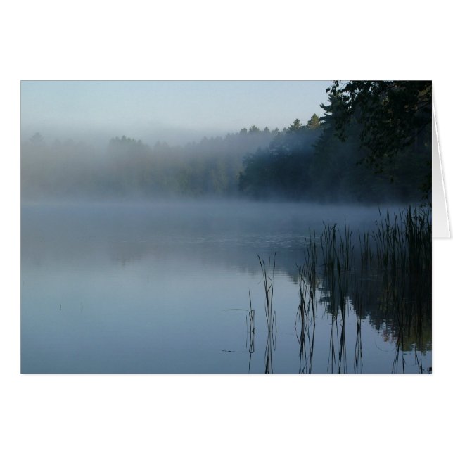 mist op beer poot (Voorkant Horizontaal)