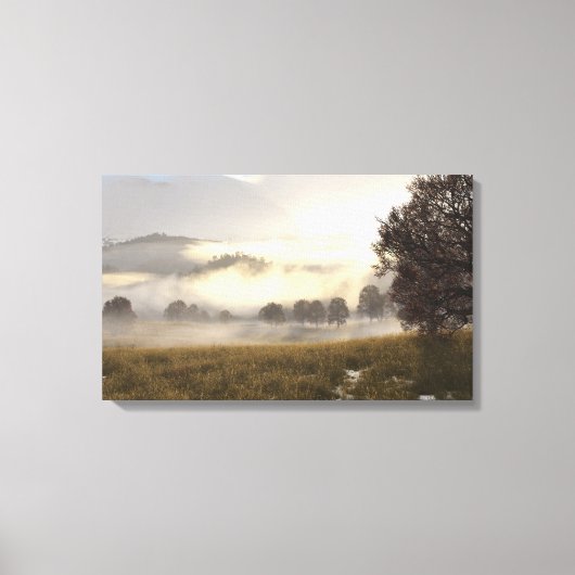 Mist op de weide canvas afdruk (Voorkant)