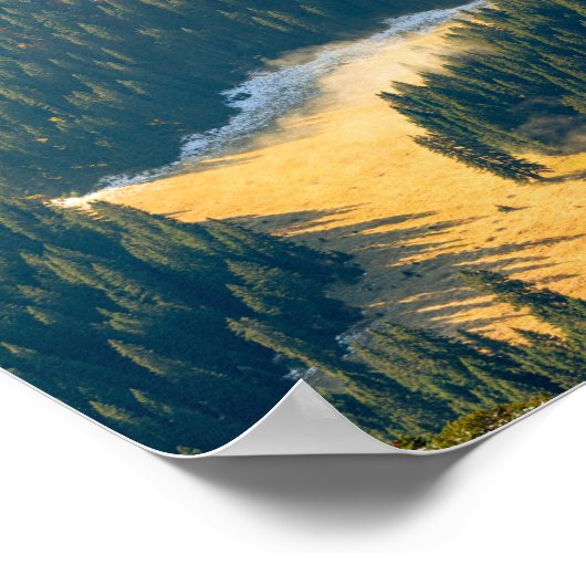 Mist op een eenzaam herfstveld poster (Hoek)