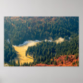 Mist op een eenzaam herfstveld poster (Voorkant)