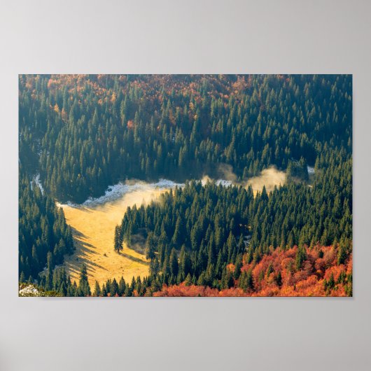 Mist op een eenzaam herfstveld poster (Voorkant)