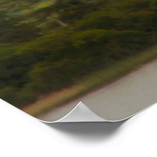 Mist op het Big Moose Lake in de Adirondacks Poster (Hoek)