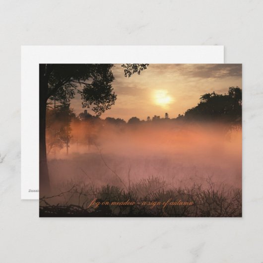mist op weide briefkaart (Voorkant / Achterkant)