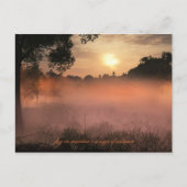 mist op weide briefkaart (Voorkant)