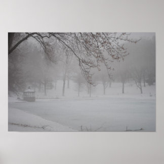 MIST OVER DE PARK POSTER