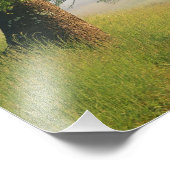 Mist overweg, Cades Cove, Great Smoky Foto Afdruk (Hoek)