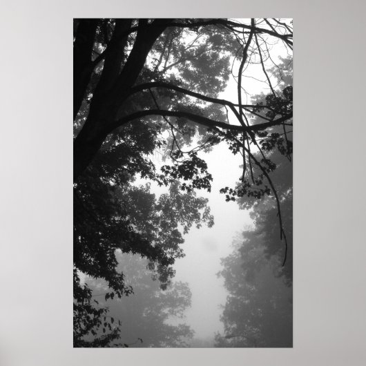 mist poster (Voorkant)