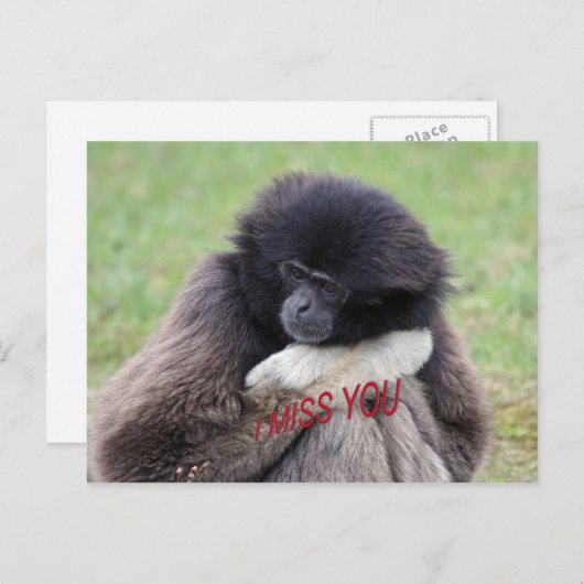 mist u briefkaart (Voorkant / Achterkant)