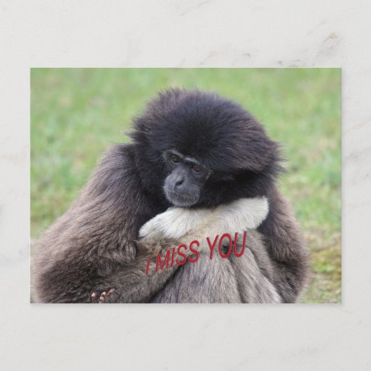 mist u briefkaart (Voorkant)