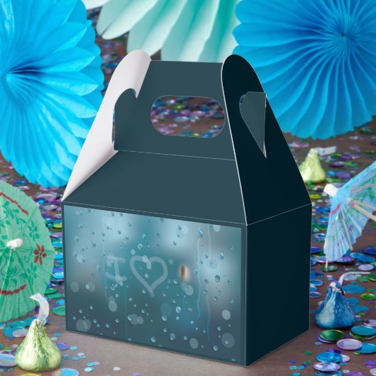 Mist van de liefde bedankdoosjes (Feest)