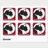 MISTA BOO MUZIEK STICKERS (Vel)