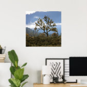 Mistende mist in de vallei.. poster (Thuiskantoor)