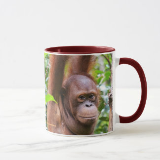 Mister Bernie Orangutan Mok