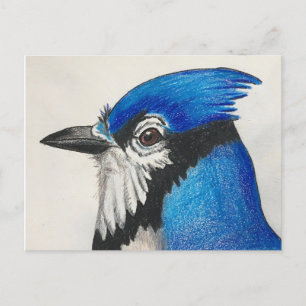 Mister Blue Jay Bluejay Bird Waterverf Briefkaart