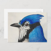 Mister Blue Jay Bluejay Bird Waterverf Briefkaart (Voorkant / Achterkant)