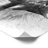 Mister Cat Poster (Hoek)