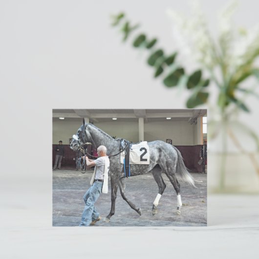 Mister Monolo Briefkaart (Staand voorkant)