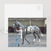 Mister Monolo Briefkaart (Voorkant / Achterkant)