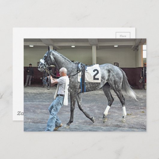 Mister Monolo Briefkaart (Voorkant / Achterkant)