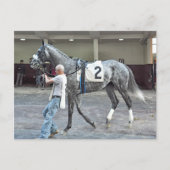 Mister Monolo Briefkaart (Voorkant)